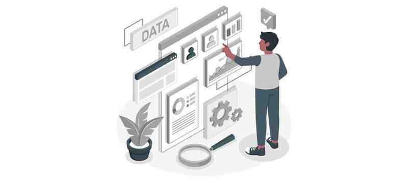 Data Analyst