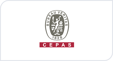 CEPAS - Lean Six Sigma Training and Certification
