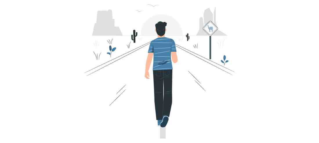 Data Analyst career path